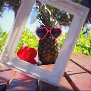 4匹の猫ฅ•ω•ฅ匿名配送