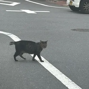 リア☆ID記録❌プロフあり