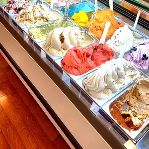 フレイアイディー ホロスコーププリントリボンタイワンピース サイズ1