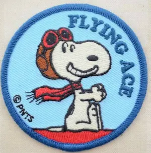 ⭐大幅限定割引・CALIBER 30 エンジン大型コクピットRCヘリセット