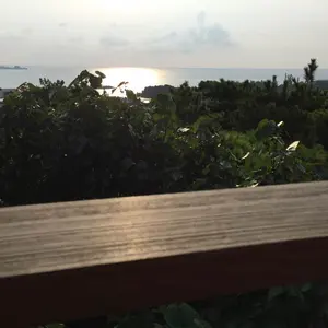RORO