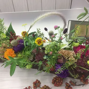 ことり✩⋆。˚プロフご一読願います♡