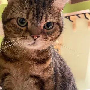 naoko2373様専用】 新品・未開封☆4本セット リキッドキララ - メルカリ