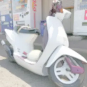 期間限定1000円OFF サプール　大阪ポップアップ タイガーラグ 期間限定1000円OFF サプール 大阪ポップアップ タイガーラグ - メルカリ
