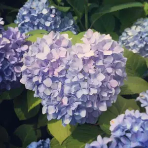 まぁみん❁⃘プロフィール一読下さい