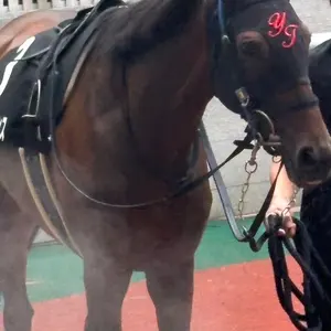 t*n様 シャフリヤール ドバイシーマクラシック記念ブルゾン