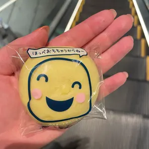 ボーイズプラネット2 アーカイブ展 コレクトブック ジュニル - メルカリ