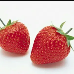 加藤静允氏 吹き墨 サル 猿 中皿 - メルカリ