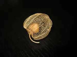 アルト⭐️日曜限定値下げ⭐️様専用】グラードン ☆ スター ホロンの