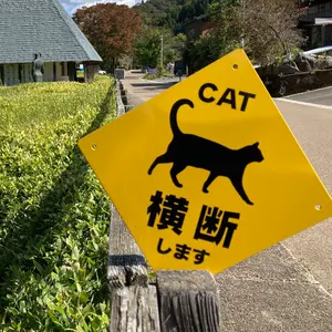 ⭐︎ちこりん Arukan アルカンエナメル 二つ折りミニ財布&ブリムハット ⭐︎ちこりん様専用 Arukan アルカンエナメル 二つ折りミニ財布