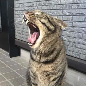 COMME des GARCONS バイアス期 ジャケット 97AW 深水光太 - メルカリ