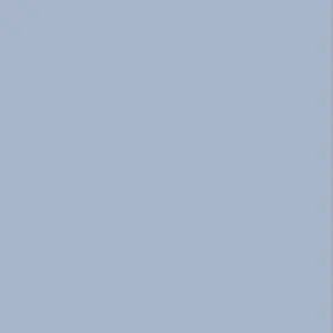 Rakutao公式アカウント 01 メルカリの質問です。今しがた、Rakutao公式アカウント01と