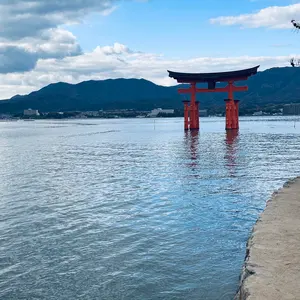モレリア2JAPAN 値下げしたので早い者勝ちです - メルカリ