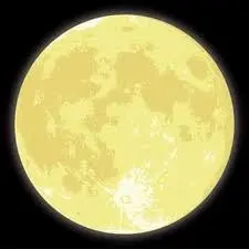 ちぇる