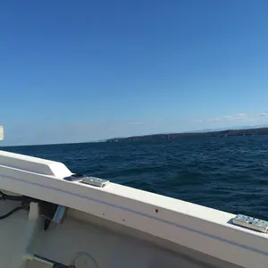 アシックス サイバーゼロ レッド 28.5 未使用 タグ付き 超希少 箱付き