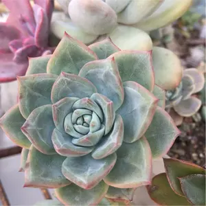 ★ レンジフード　富士工業製（LIXIL）★ ASR-634KR ☆ レンジフード 富士工業製（LIXIL）☆ ASR-634KR - メルカリ