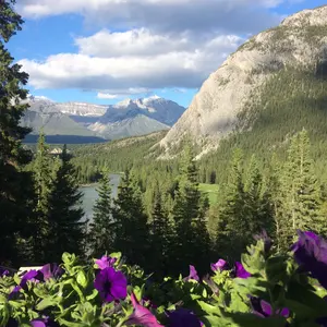 T A  複数購入の方はプロフィール必読