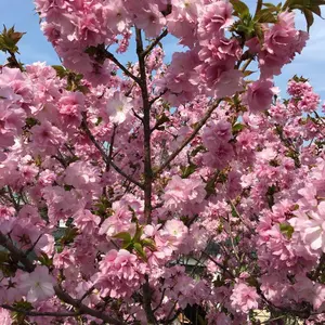 ATEEZ アチズ 8ROOM ラキドロ 5万ウォン ソンファ 第2週 - メルカリ