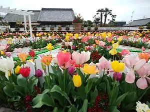 田端俊久氏(中村文昭さんの師匠)のDVDとCDセット - メルカリ