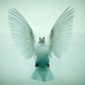 PSA9 ミュウツー 20thアニバーサリー - メルカリ