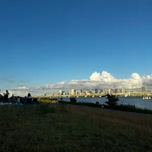 【超貴重】2014年 US open 決勝戦 会場限定 パンフレット 超貴重】2014年 US open 決勝戦 会場限定 パンフレット 超貴重】2014年 US