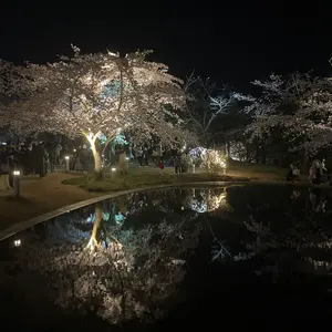 saby ブラック デニムjt b68cbc227a22e7e1873b40d26cc21f