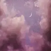 WayV ヤンヤン 直筆サイン入りポラロイド サイン会特典 - メルカリ