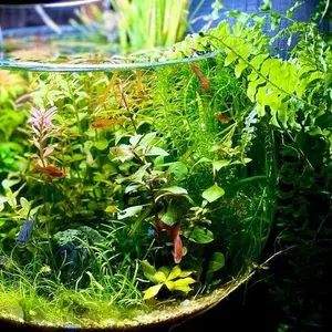 エアプレーンマグネットコレクション ワンワールド - メルカリ