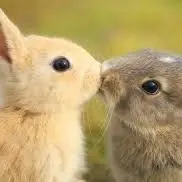 リセオーバーチュア　サジタリア　村川梨衣さん　直筆サイン リセオーバーチュア サジタリア 村川梨衣さん 直筆サイン - メルカリ