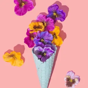 みしゅ⭐︎即購入、まとめ買い大歓迎‼︎