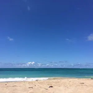 mwat 即購入可！