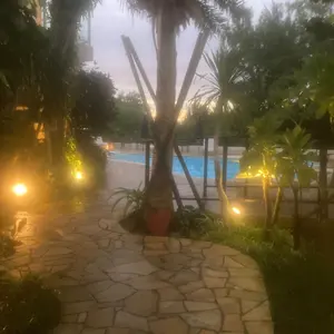 ロシア作家様引退！！の希少価値の白樺かご ロシア作家様引退！！の希少価値の白樺かご - メルカリ