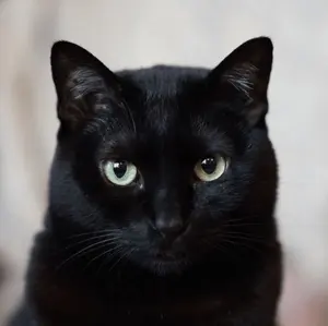 東京マルイ製・タナカ製　1911とM360セット　ジャンク品 東京マルイ製・タナカ製 1911とM360セット ジャンク品 - メルカリ