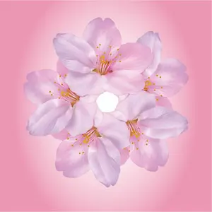 ジャンク Panasonic HC-W850M + Neewer魚眼広角レンズ - メルカリ