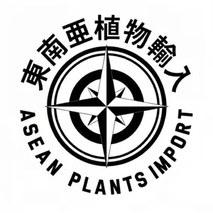 Cryptocoryne sp. Min-1 【LA1223-01z】子株 - メルカリ