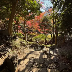 ころば