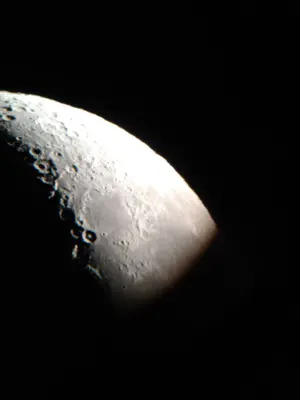 辛夷