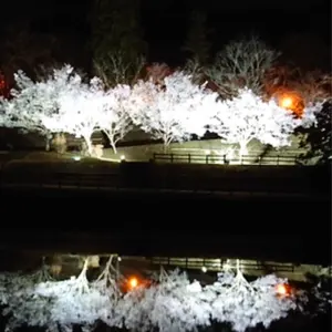 #まるみちゃんショップ