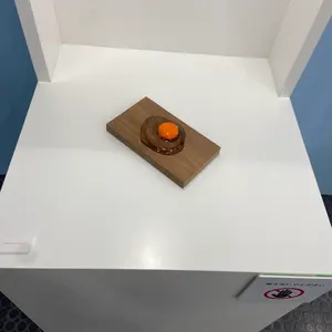 ！楓の葉！
