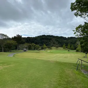 euw nuance collar gilet / brown - メルカリ