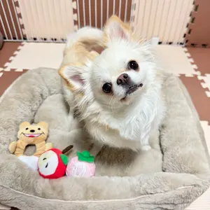 ぶらさげぬいぐるみ たんけん隊 コグマ 2点セット リラックマrilakkuma