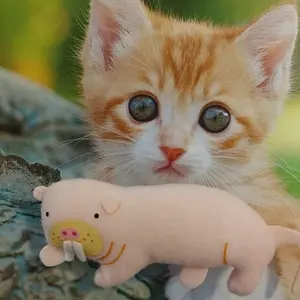 婚礼 座布団 御所車柄 未使用 房付き 5枚セット 71+mo3hQ8TL._AC_UL210_SR210,