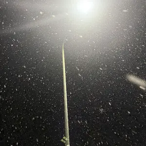 Mạnh Nguyễn Đức