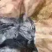 まる
