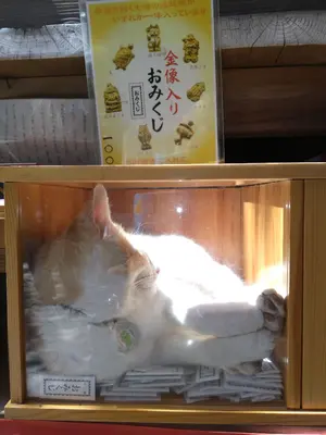 ☆JRA☆豆皿8枚セット☆ワインオープナーセット☆おまけ付き☆ - メルカリ