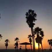 う*∩様 visvim リュック ジャンク品 - メルカリ