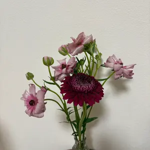 LANA ファンクラブ限定くじ 2024ZeppツアーTシャツ - メルカリ