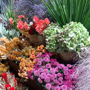 GW限定価格】énoi 新作コンプリートセット +台紙 - メルカリ