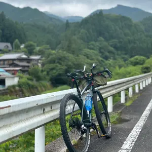 オールドマンマウンテン リアキャリア (カーボン/ダボ穴なし対応 