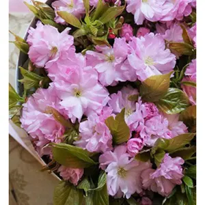 花瓶の黄色い花 油彩画 児島 裕子 ☆ - メルカリ